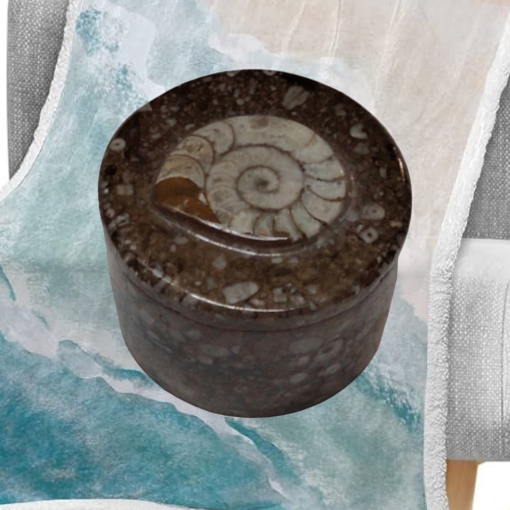 Fossilized Ammonite Fossil" on the Trinket Box's Lid.